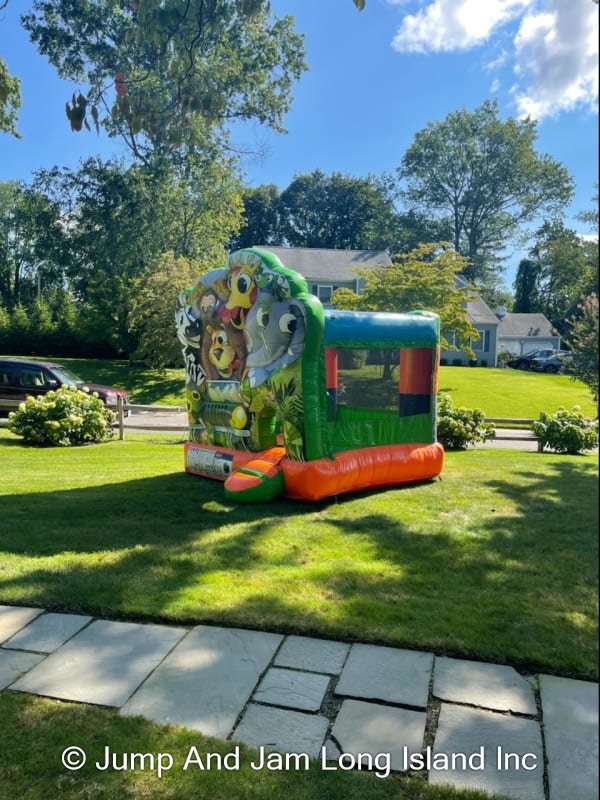 BH 10x10 Animal Bounce House Bouncer 3 (orange) Best Bounce House