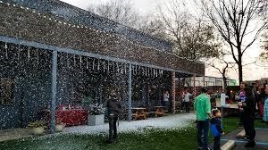 Mechanical Bull - Bounce House Rental, Inflatable Rental, Waterslide ...